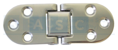 FLUSH 2PIN HINGE 30X80MM 316SS