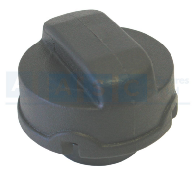 FUEL CAP SCREW ON TYPE GOLF.JETTA.PASSAT 1002