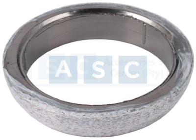 FLANGE GASKET QUANTUM