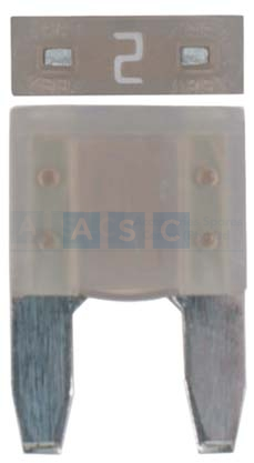 MINI PLUG IN FUSE 2 AMP
