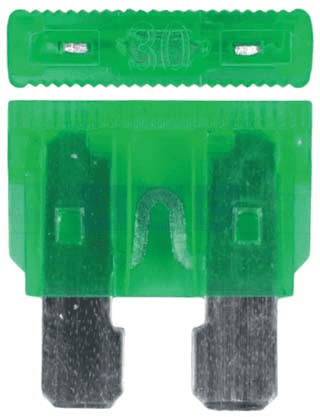 PLUG IN FUSE 30 AMP PER 100