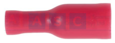 RED BULLETTERMINAL FEMALE