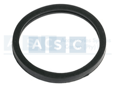 THERMOSTATORING RUBBER SEAL(T9-367O