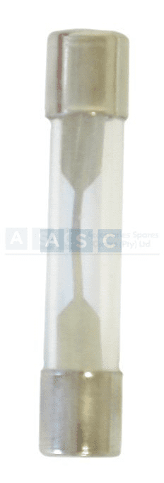 GLASS FUSES 10 AMP PER 100