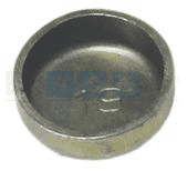 WELSCH PLUG 19MM ZINC PLATE