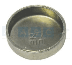 WELSCH PLUG 27MM ZINC PLATE