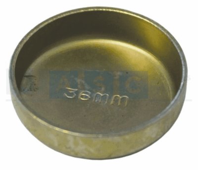 WELSCH PLUG 36MM ZINC PLATE