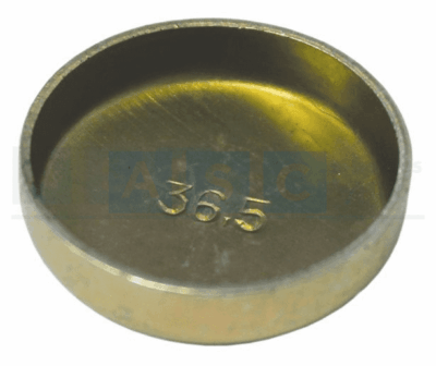 WELSCH PLUG 36.5MM ZINC PLATE