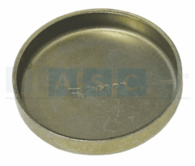 WELSCH PLUG 50MM ZINC PLATE