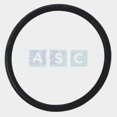 O-RING W/PUMP H/SING 48/55 HP