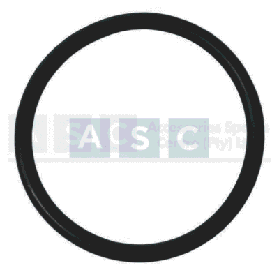 O-RING BRG H/SING 48/55 HP Not viable
