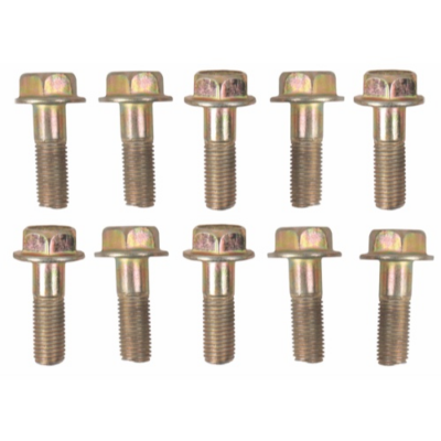 CALIPER BOLT E20 & QUANTUM